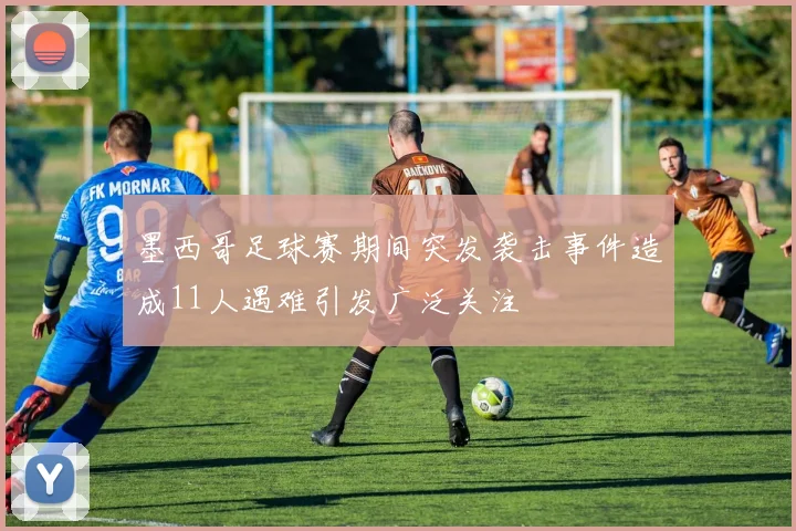 墨西哥足球赛期间突发袭击事件造成11人遇难引发广泛关注